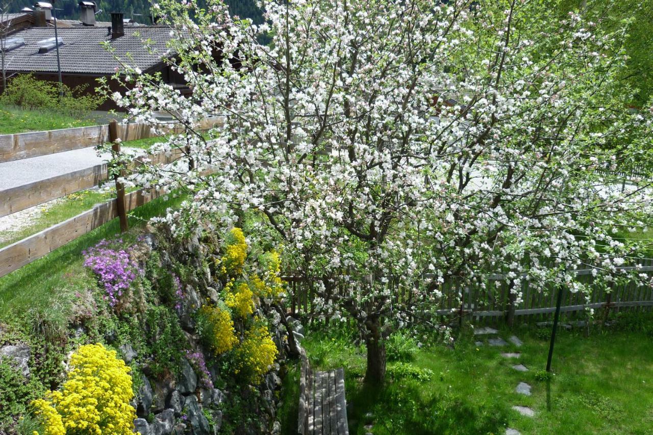 Apartament Gruberhof San Candido Zewnętrze zdjęcie